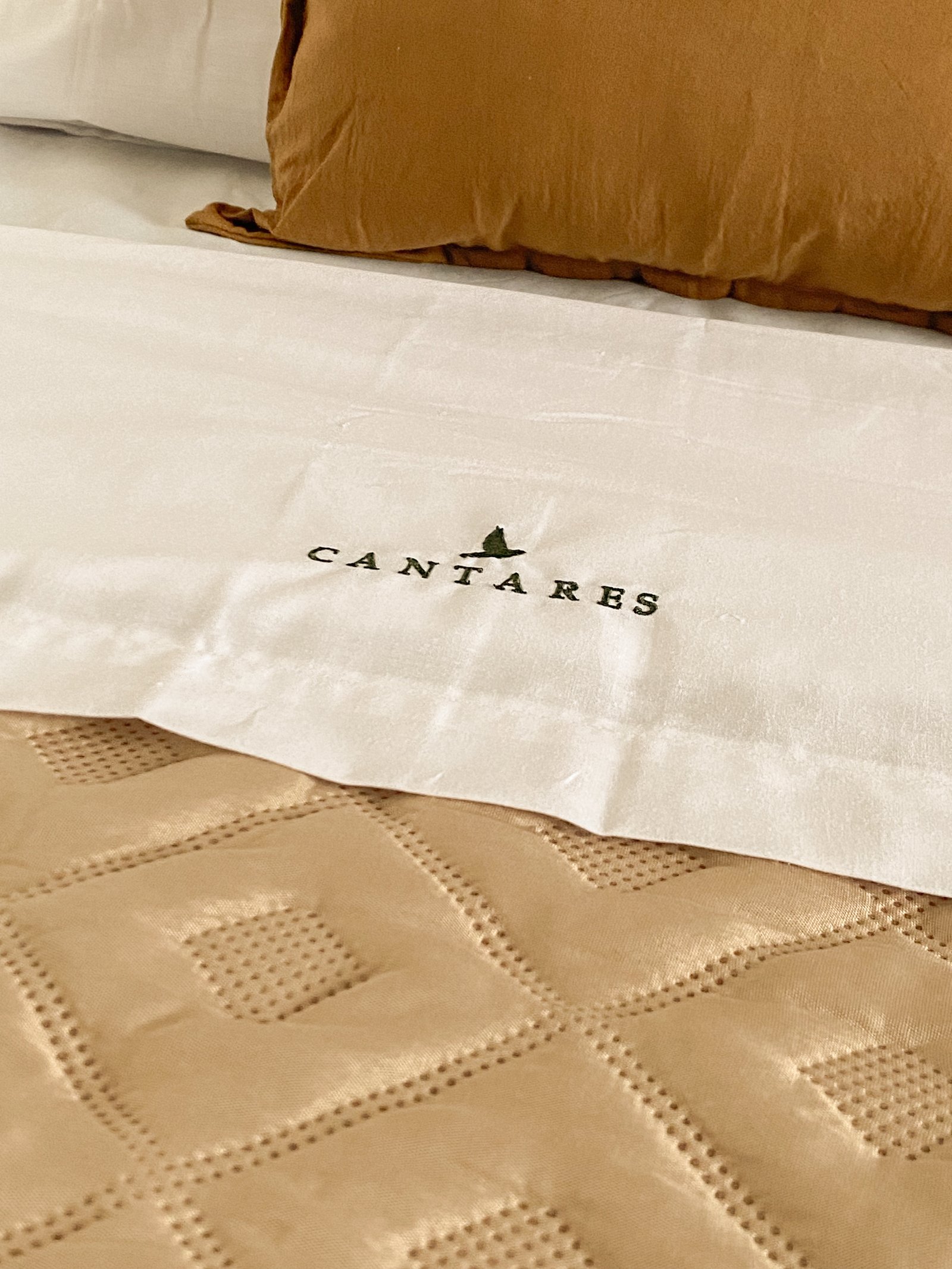 Cantares - imagen 7